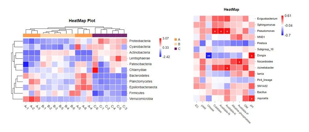 r语言热图对列不进行聚类_微生物群落文章中的热图都有哪些神奇操作?_