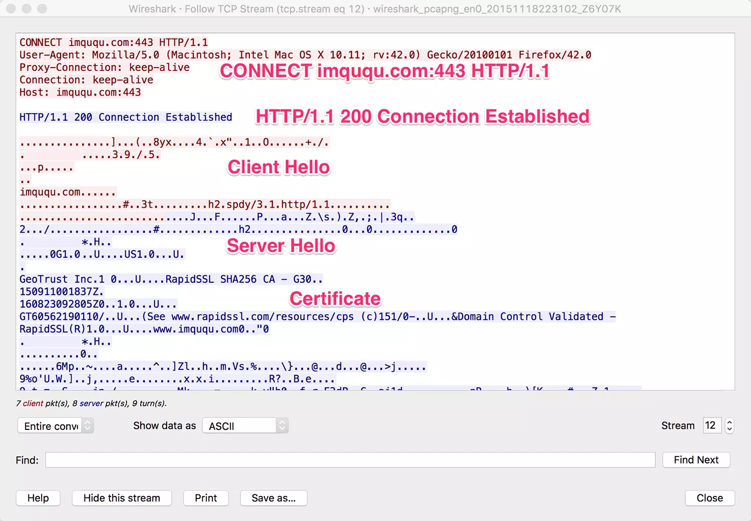 wireshark_connect_detail