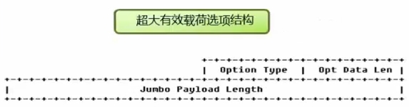 逐跳选项报头超大有效载荷选项结构