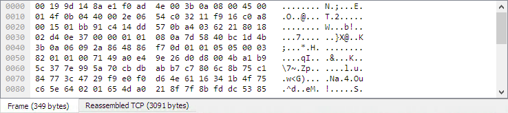 ws bytes窗格标签