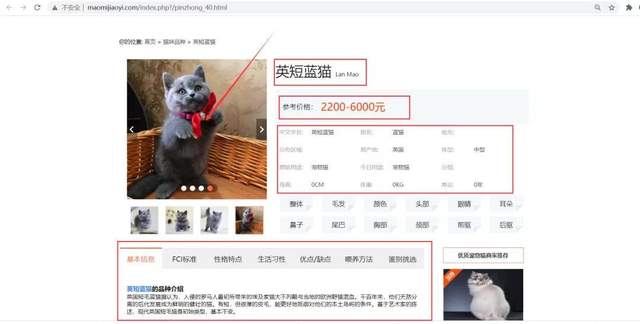 什么品种的猫最受欢迎？Python爬取猫咪网站交易数据[通俗易懂]