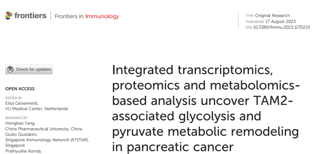 成功案例（IF=7.3）| 转录组+<span style='color:red;'>蛋白质</span>组+代谢组联合<span style='color:red;'>分析</span><span style='color:red;'>分析</span>揭示胰腺<span style='color:red;'>癌</span>中TAM2相关的糖酵解和丙酮酸代谢重构