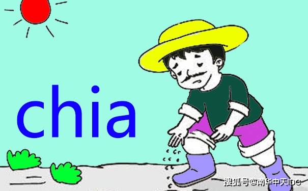 服务器用什么系统来挖chia，什么是chia？正大挖矿服务器配置