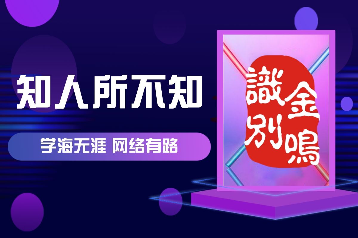 探索磁力搜索引擎：互联网资源获取的新视角