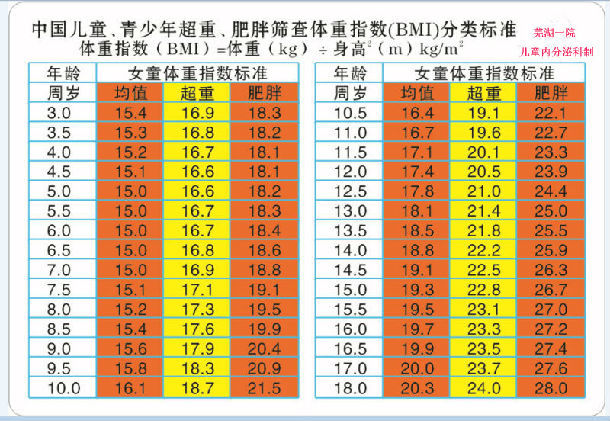 C 入门 循环结构 Bmi