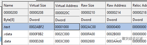 CobaltStrike逆向学习系列(6)：Beacon sleep_mask 分析