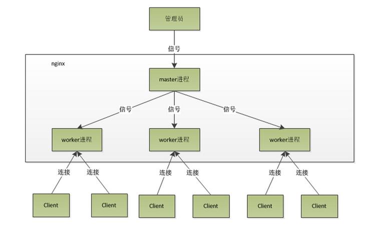 Nginx 原理