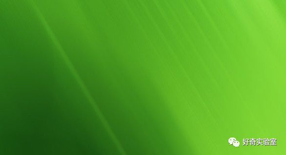 保护眼睛的电脑设置看绿色能保护视力原来这些年我们都错了