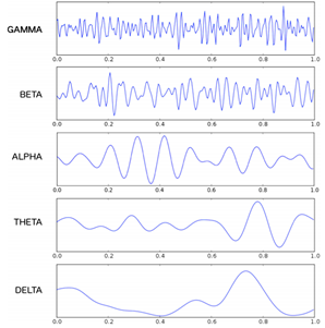 图1不同频段的脑电信号波形图,引自[7]大脑的生理活动可以直观反应