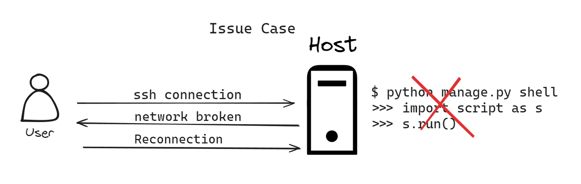 Issue Case