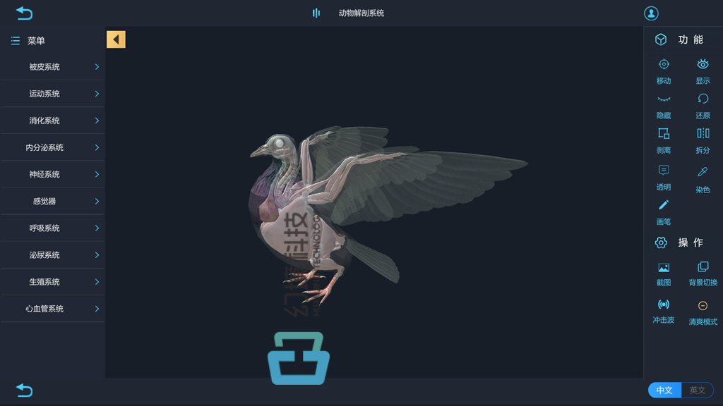 Vr动物解剖实验室兽医学虚拟仿真软件 河南幻境科技 程序员资料 程序员资料