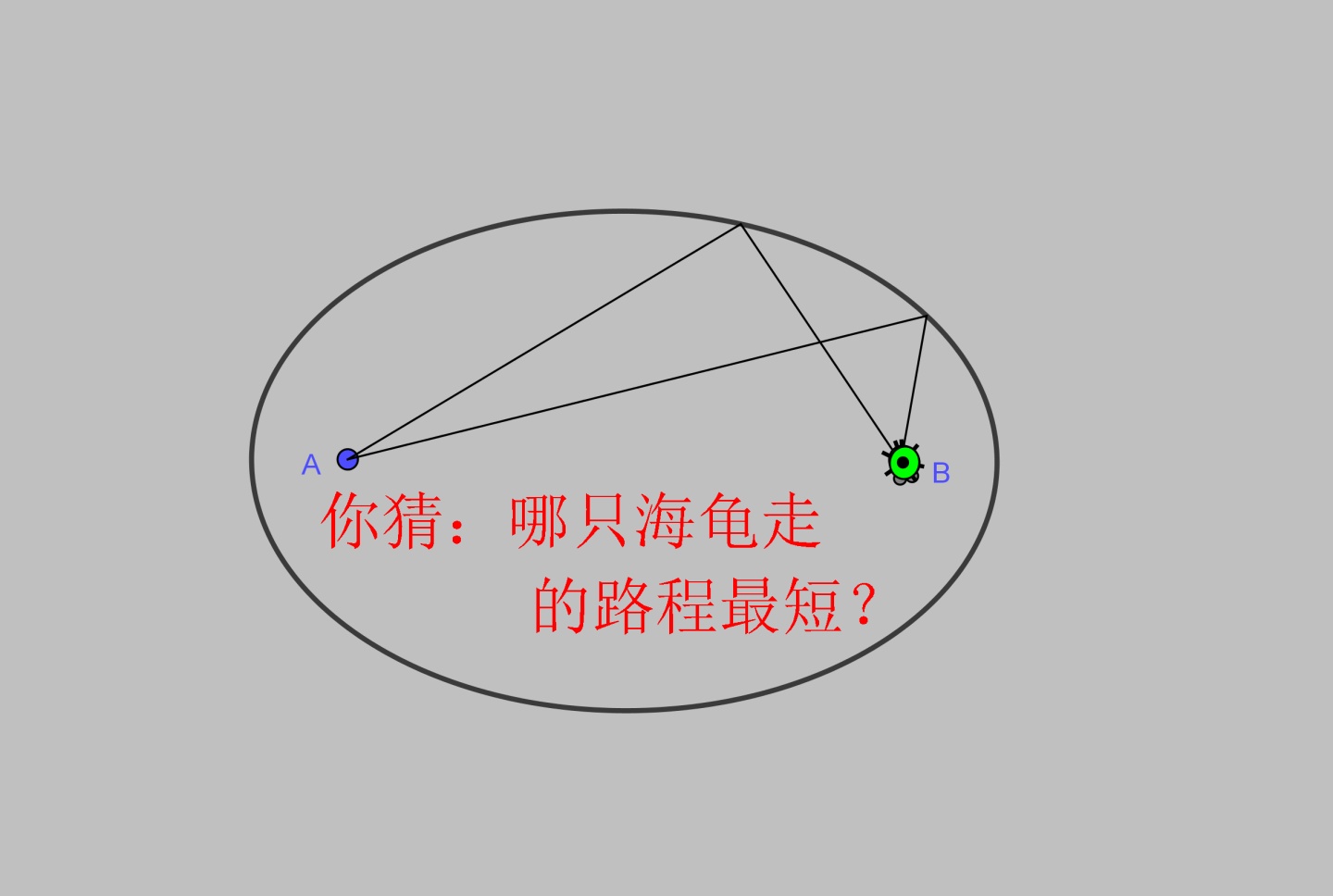 如何画椭圆壳体教你动态生成椭圆还教你怎么用海龟作图geogebra制作