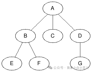 C++ 广度优先搜索（bfs）（五十四）【第一篇】