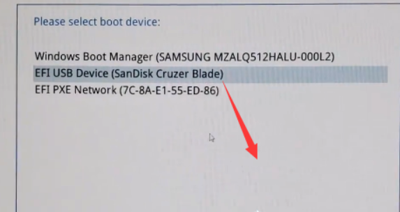 选择u盘进入pe