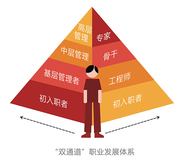 双通道职业发展体系