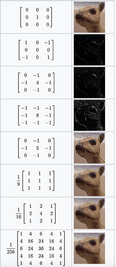 图5 对同一图片使用不同卷积核的效果