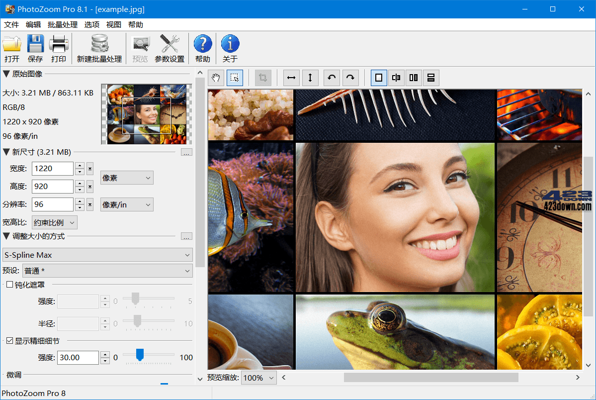 PhotoZoom破解版(图片无损放大神器)v9.0.0