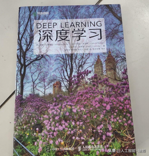 深度学习里程碑著作！“花书中文电子版”大放送！有什么？必看