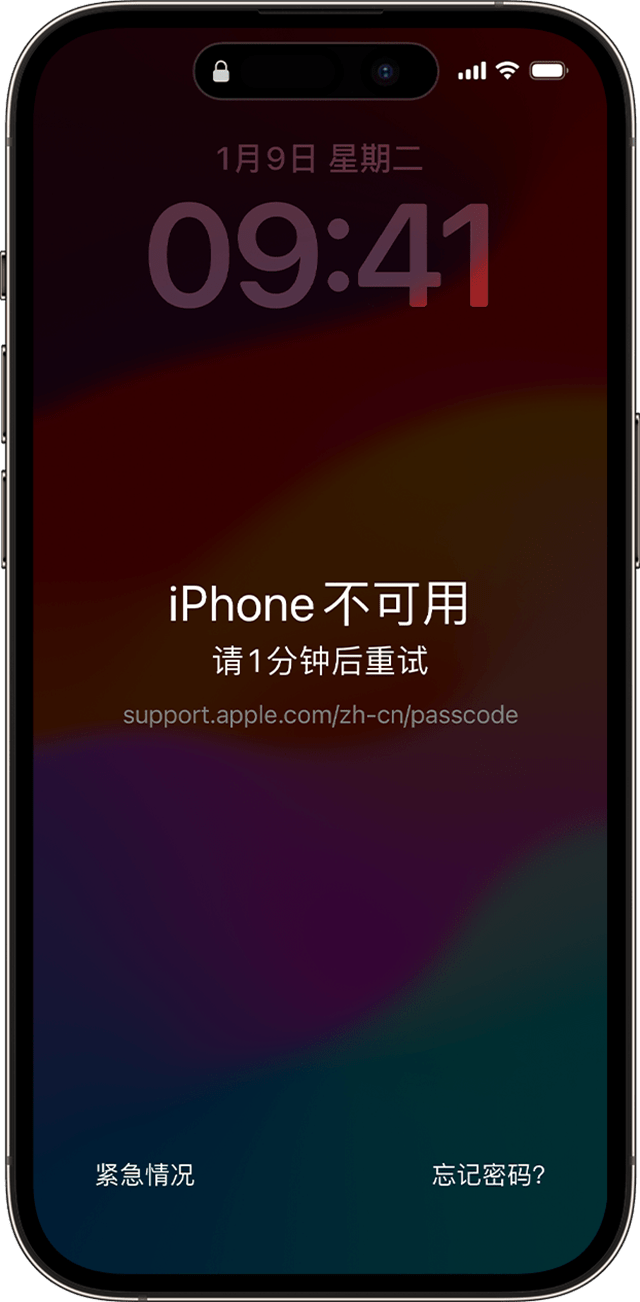 在你输错了密码后，iPhone 上会出现“iPhone 不可用”信息。