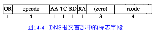 【计算机网络】搞定DNS协议入门_宫瑞阳的博客