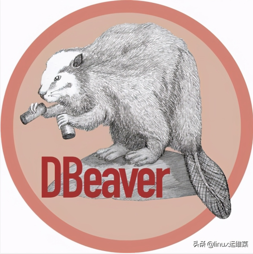 Linux系统上数据库管理和开发工具DBeaver使用安装介绍Linux系统上数据库管理和开发工具DBeaver使用安装介绍