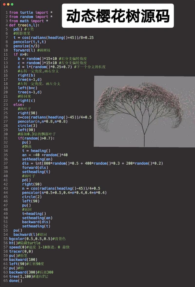 python编程代码画樱花-CSDN博客