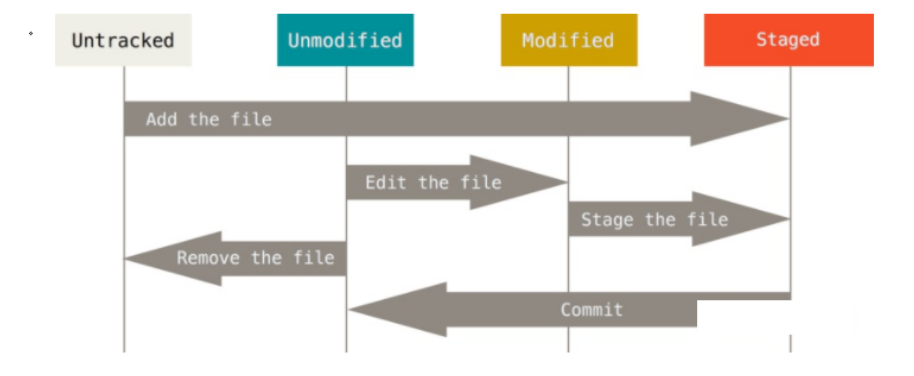 【devops】devops-git之介绍以及日常使用