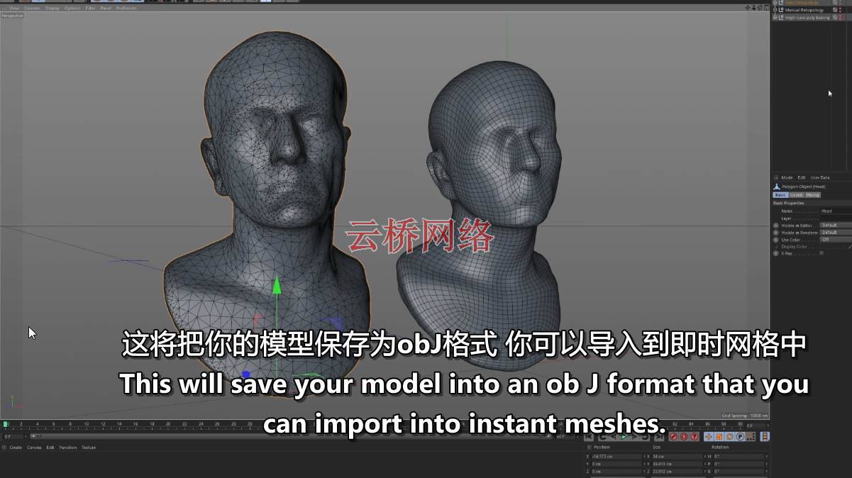 灰猩猩拓扑速成班 Greyscalegorilla Plus Topology Crash Course c4d教程-第5张