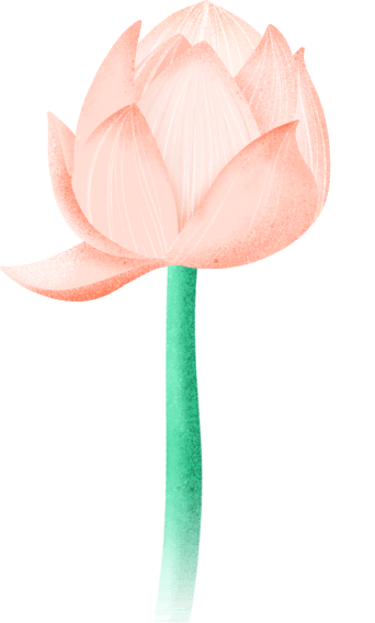 4ae5578d44f488acbfcf3608b1213704.png