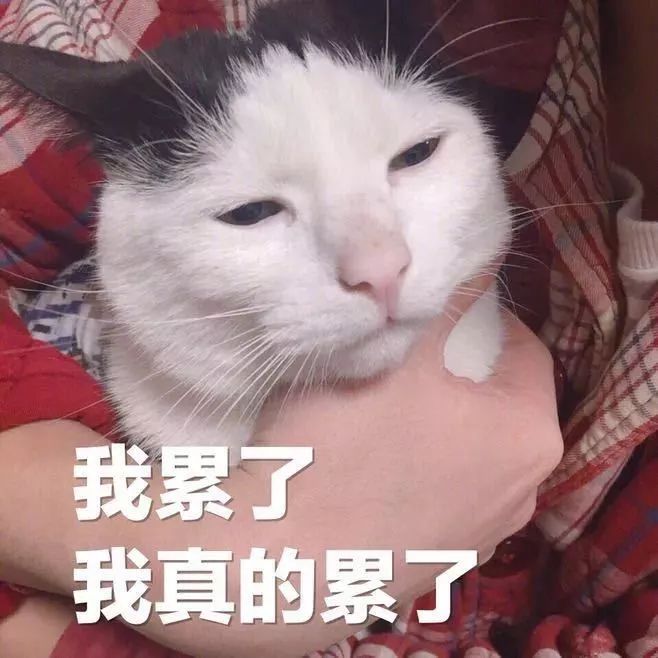 头发变得越来越稀少小编的压力越来越大好看的h5层出不穷你钓到了