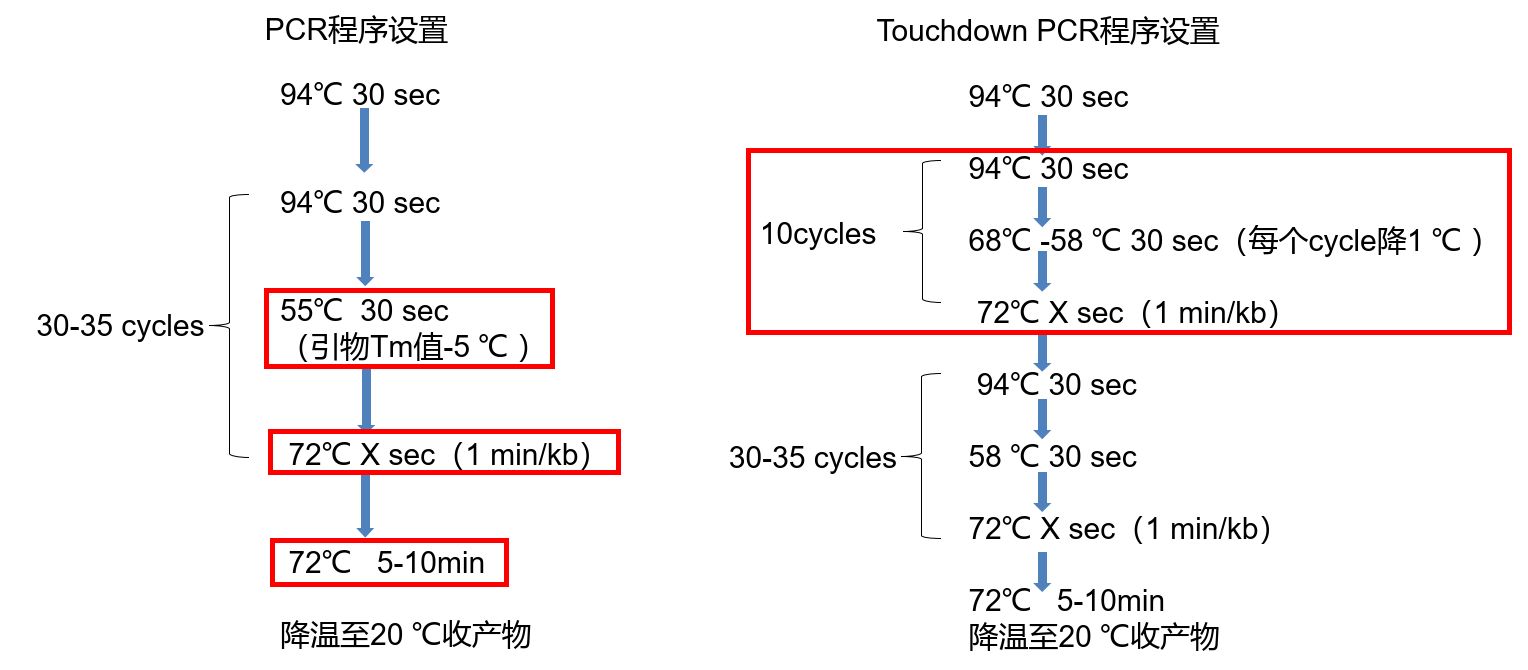 酶切載體和pcr產物pcr回收產物34ulvector:1ug/濃度 ddw=34ulenzyme1