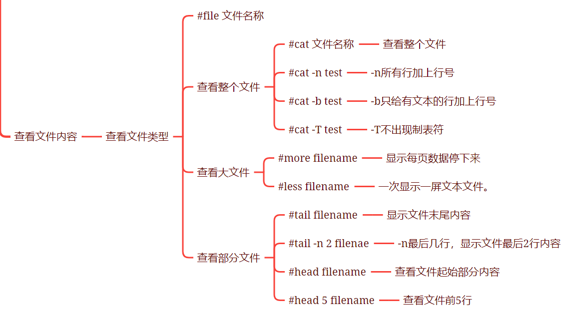 基本bash shell(浏览、管理、查看文件/目录)