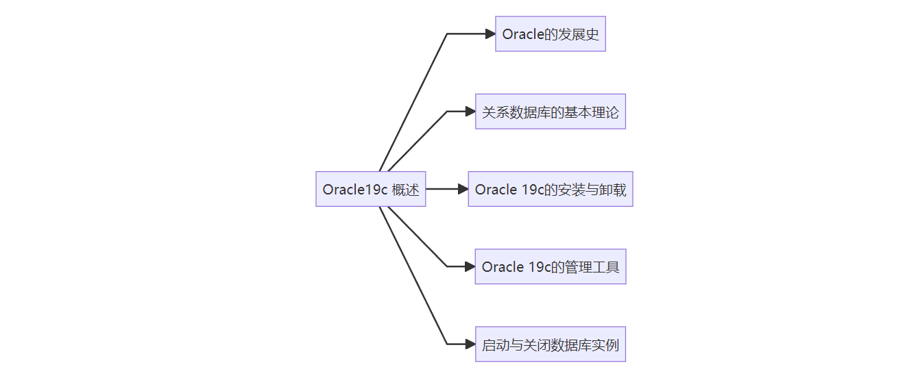 <span style='color:red;'>Oracle</span> 19c<span style='color:red;'>概述</span>