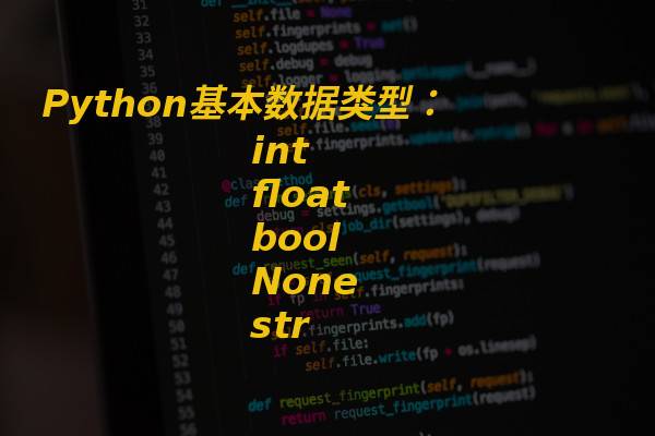 Python基本数据类型