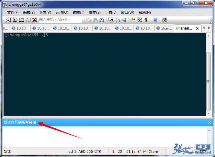 SecureCRT全局发送相同命令，快速抓取服务器信息的方法