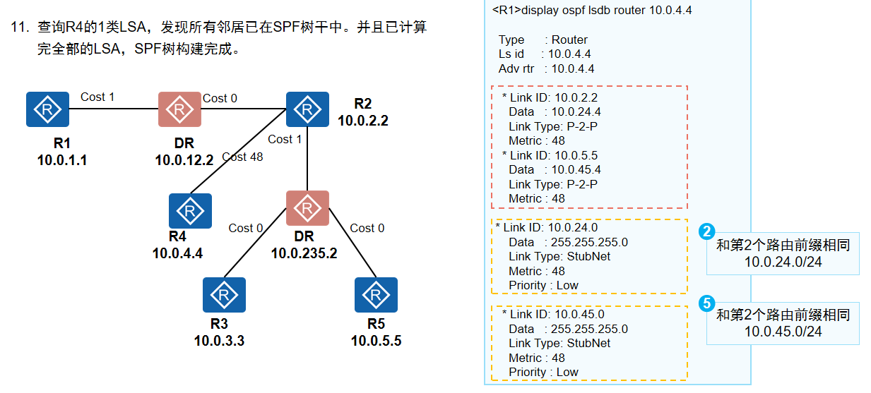 构建SPF树7