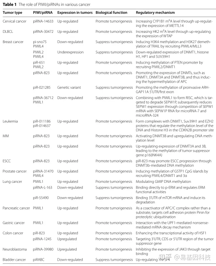 易基因：PIWI/piRNA在人癌症中的表观遗传调控机制（DNA甲基化+m6A+组蛋白修饰）｜综述