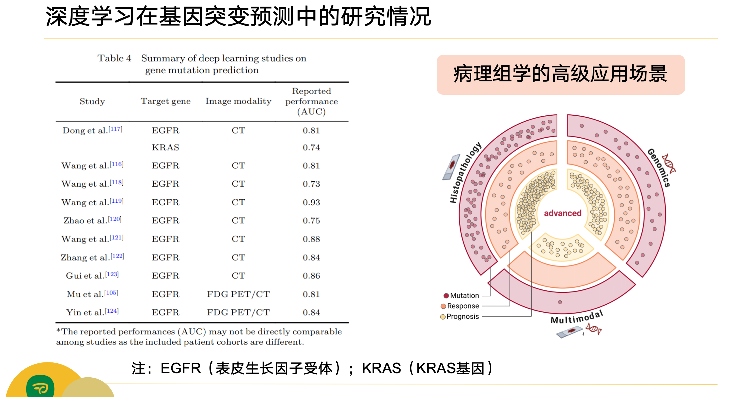 这一部分我在后续的病理组学中也提到了，大家可以留意一下