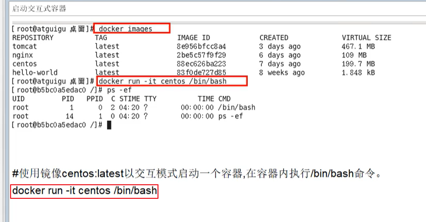 image-20210105194116735