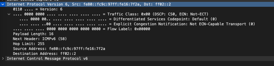 IPV6 protocol header packet capture