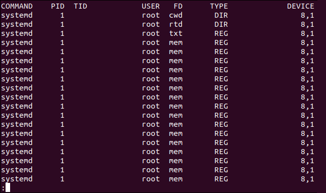 the leftnmost columns of lsof output in a terminal window