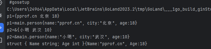 Golang基础5-指针、结构体、方法、接口