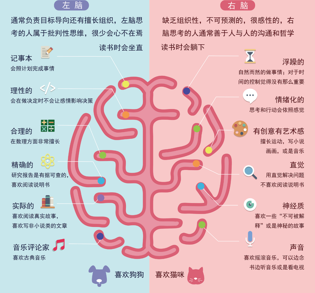 还是右脑思维者,我们都不可否认的是,这两种脑所代表的理性和感性