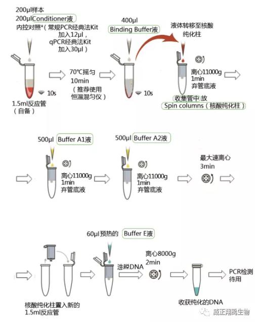 ctab法提取dna流程图支原体dna提取试剂盒只选mb公司