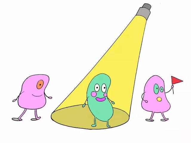 4c057b2e7fe137261623bbcfbd49dcdd.png