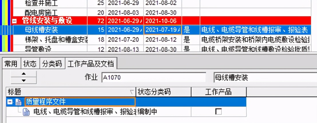 P6应用—工程项目质量管理