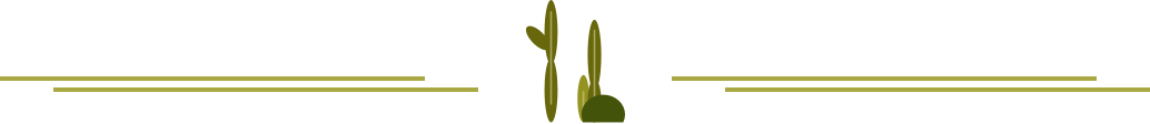 4caf0c3e9d4b809f301cd46b3cec8a73.png