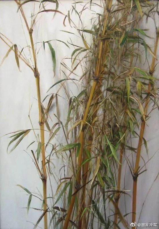 画五角星中间没有填充_冷军油画卖4000万!专家:画照片,无艺术,品味低