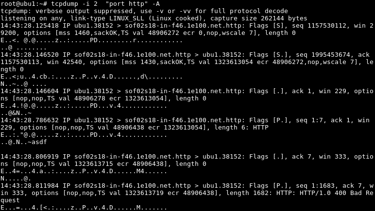 Print Captured Packets ASCII or Text