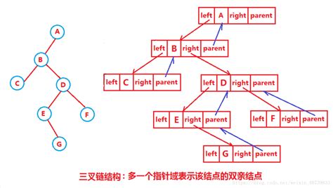 二叉树基本概念与遍历_Xucc_x的博客-CSDN博客